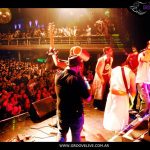 coholins 04