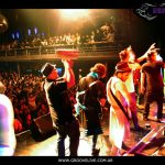 coholins 06